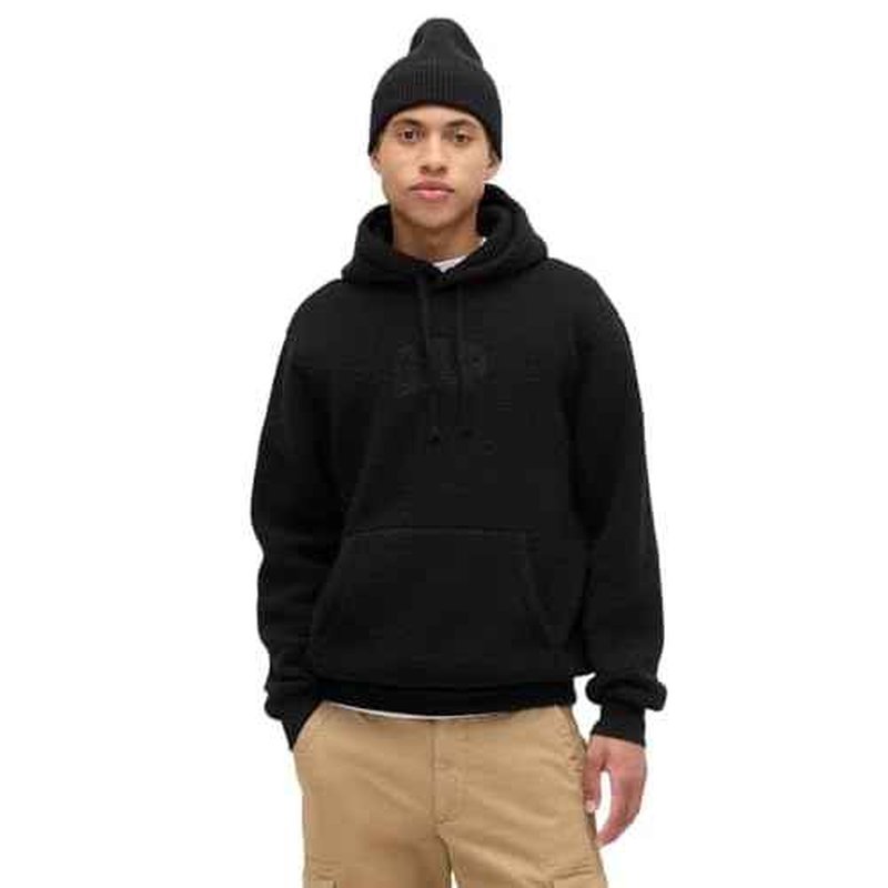 GAP mens Pullover Teddy Hooded Sweatshirt