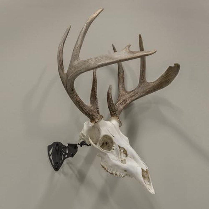 Allen Company EZ Mount Trophy Skull Hanger, Black