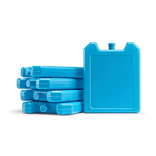 Fit & Fresh Cool Coolers, 5 Pack Days of the Week Ice Blocks, Compact & Reusable Ice Packs for Lunch Boxes & Coolers, Blue