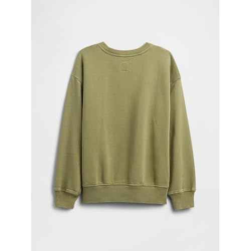 GAP Boys' Vintage Soft Crew