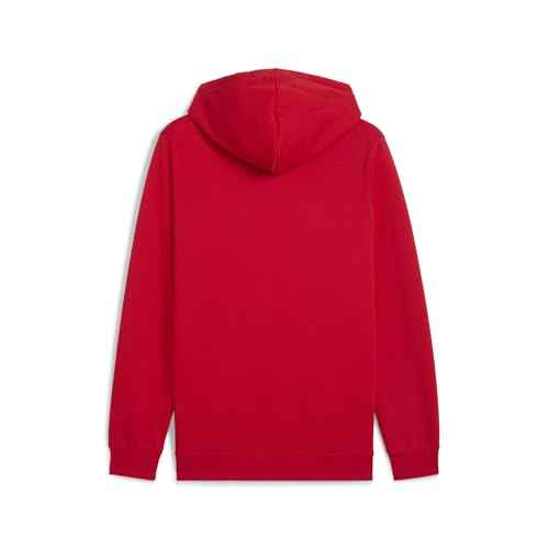 PUMA mens Essentials Logo Fleece Hoodie (Available in Plus Sizes)