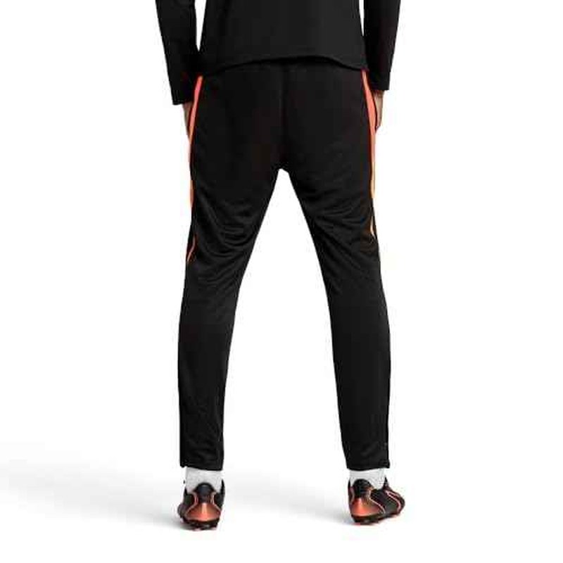 PUMA Men's Individualliga Training Pants