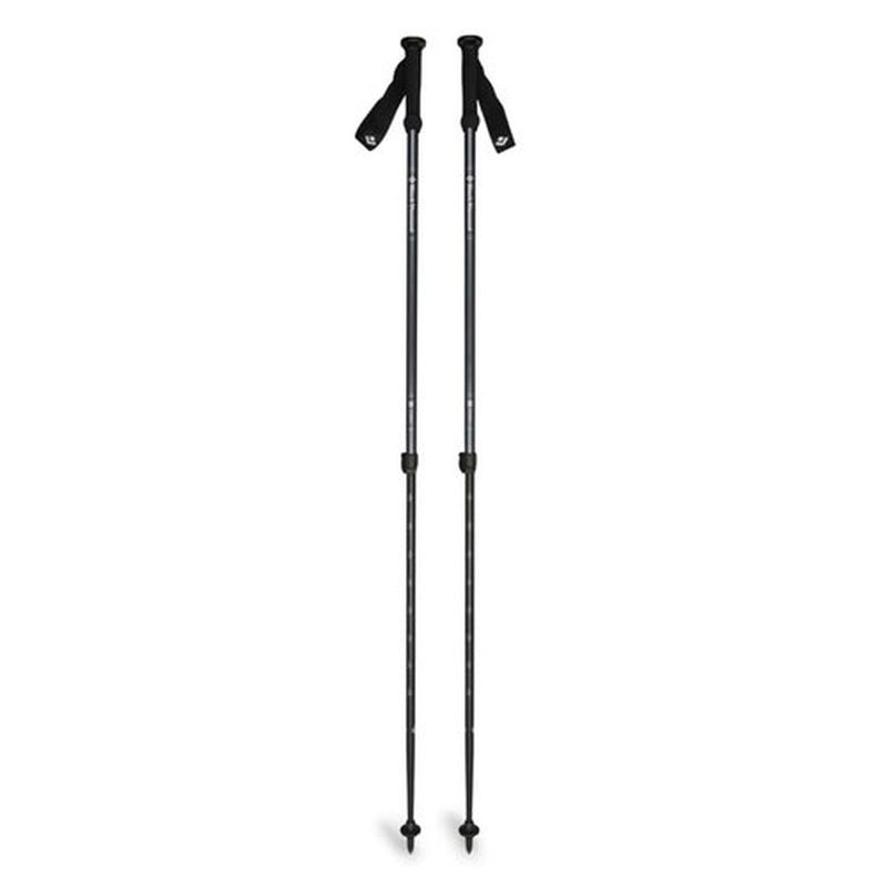 Black Diamond Explorer 2 Trekking Poles, Ink Blue