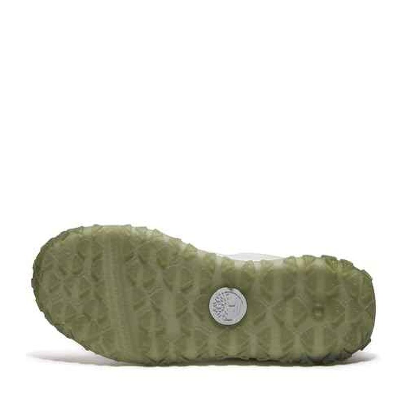 Timberland Women's Greenstride Motion 6 Low Lace Up Hiking Boot