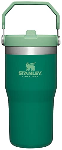 Stanley IceFlow Stainless Steel Tumbler with Straw - Vacuum Insulated Water Bottle for Home, Office or Car - Reusable Cup with Straw Leak Resistant Flip - Cold for 12 Hours or Iced for 2 Days (Polar)