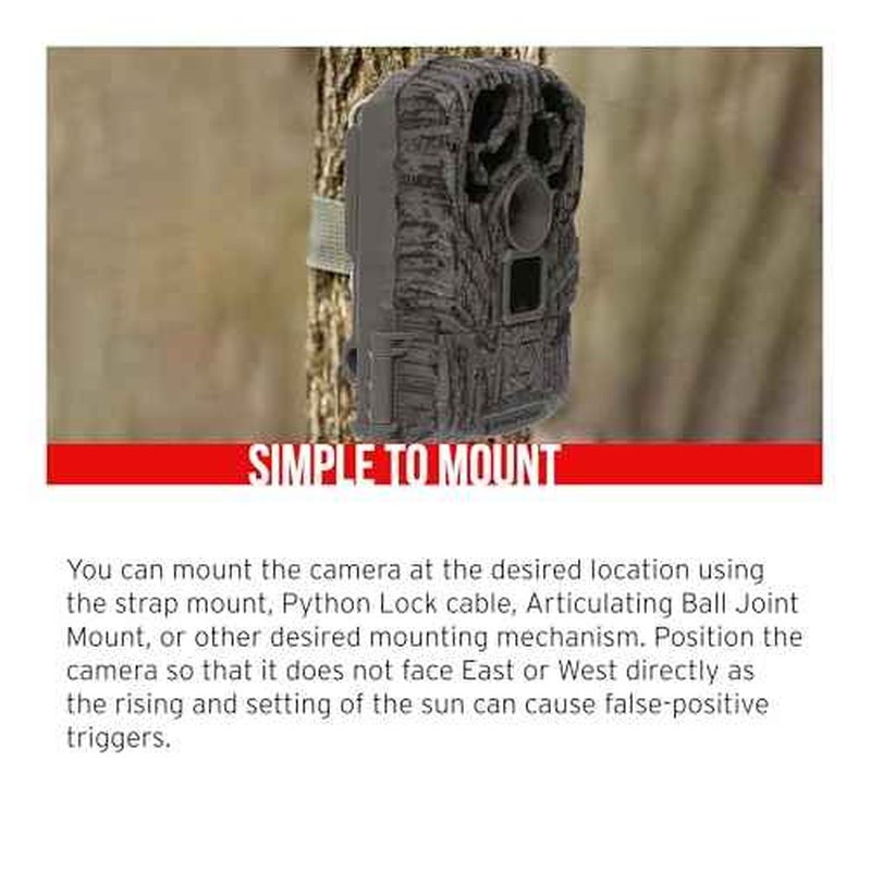 Stealth Cam Browtine 16MP, Durable, 60 Feet Infrared Detection Range, and Burst Mode Trail Camera (2-Pack) Bundle with USB 2.0 Card Reader, and Two 32GB Ultra SDHC UHS-I Memory Card (5 Items)