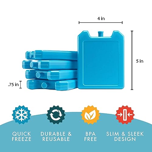 Fit & Fresh Cool Coolers, 5 Pack Days of the Week Ice Blocks, Compact & Reusable Ice Packs for Lunch Boxes & Coolers, Blue