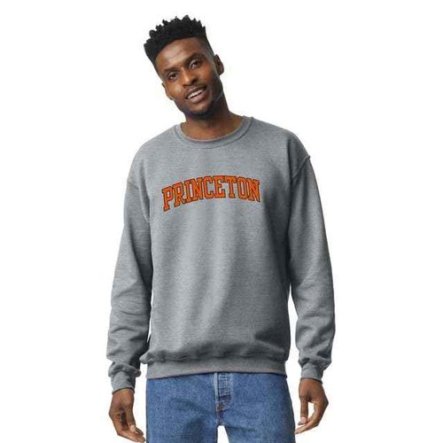 Ivysport Princeton University Crewneck Sweatshirt, Essential, Grey, Medium