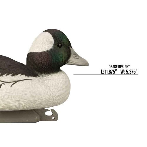 Higdon Outdoors Standard Bufflehead Floater Duck Decoys | Ultra Realistic Drake & Hen Decoys for Waterfowl Hunting | 6 Upright Drakes| Foam-Filled | 6pk