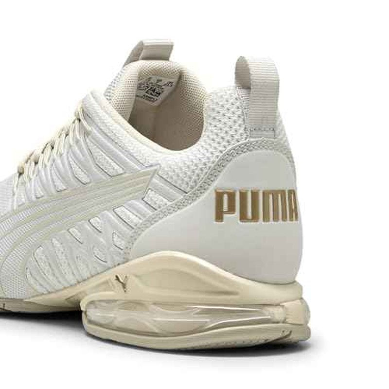 PUMA Women's Voltaic EVO Cross Trainer, Feather Gray-PUMA Gold, 7