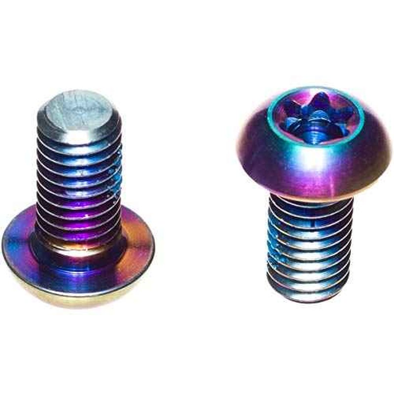 SRAM Titanium T25 Rotor Bolt Kit - Rainbow, Set of 12
