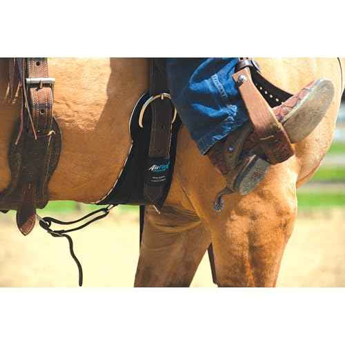 Weaver Leather Airflex Cinch with Flat Buckles