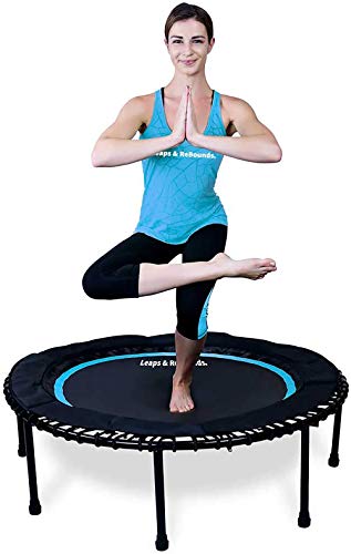 Leaps and ReBounds Mini Trampoline for Adults And Kids - Rebounder with Online Workout Videos - For Outdoor Games, Fitness, and Recreational Activities - Safe, Quiet, Durable Cardio Exercise Equipment