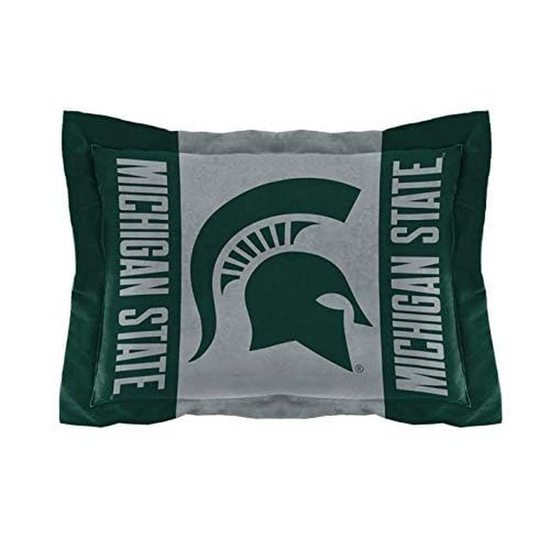 Officially Licensed NCAA "Modern Take" Twin Comforter and Sham
