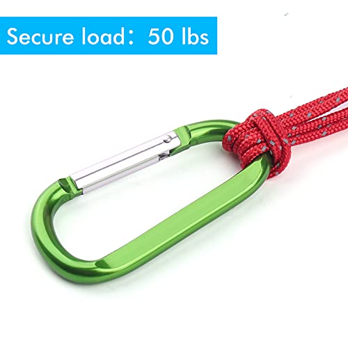 6PCS Carabiner Caribeaner Clip,3 Inch Large Aluminum D Ring Shape Carabeaner with 6PCS Keyring Keychain Hook