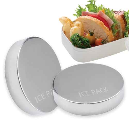 2 Packs Stainless Steel Ice Packs for Lunch Boxes - Reusable Quick Freeze Packs for Cooler, Bento, Lunch Bags - Long Lasting Cooling Ice Packs for Camping, Fishing, Picnics and Travel