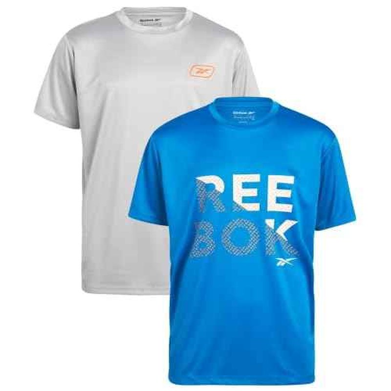 Reebok Boys¡¯ Active T-Shirt ? 2 Pack Dry Fit Performance Shirt for Boys ? Kids Athletic Sports Tee (8-20)