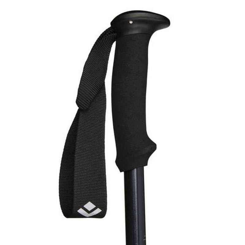 Black Diamond Explorer 2 Trekking Poles, Ink Blue