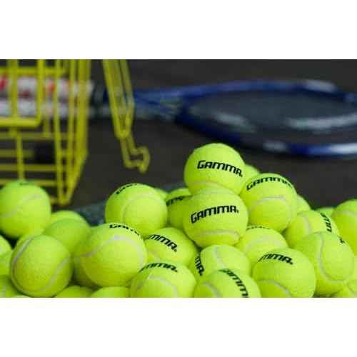 GAMMA Sports Pressureless Tennis Balls Box - Ideal for Practice, Teaching, and Training with High-Visbility Felt - Indoor and Outdoor Court Play - 48 and 75 Pack Sizes