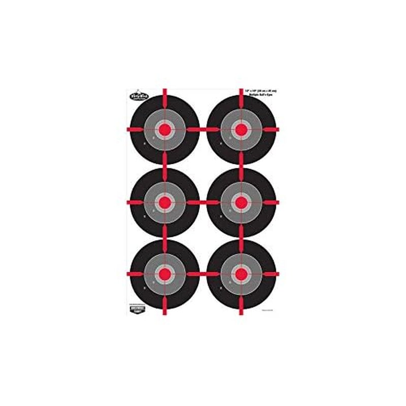 Birchwood Casey Non-Adhesive Dirty Bird 12"x18" Splattering Targets Practice Shooting for Indoor and Outdoor Use