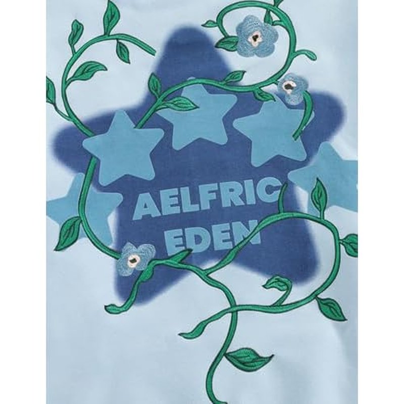 Aelfric Eden Floral Eden Star Pullover Hoodie Embroidery Graphic Hoodies Y2K Oversized Hooded Sweatshirt
