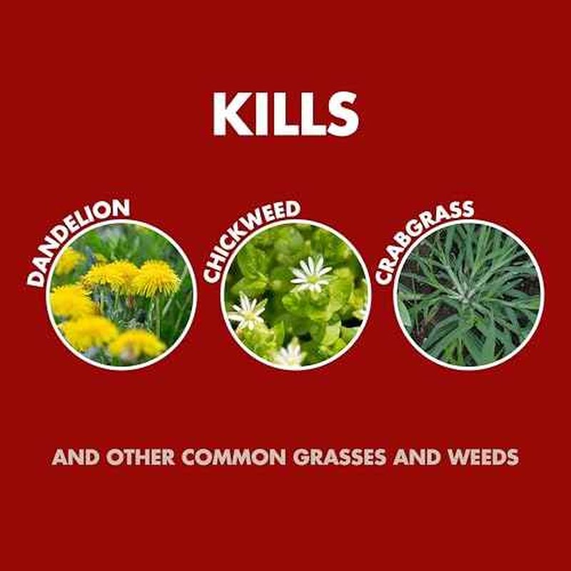 Spectracide Weed and Grass Killer Concentrate, 32 Ounces, With Accumeasure System