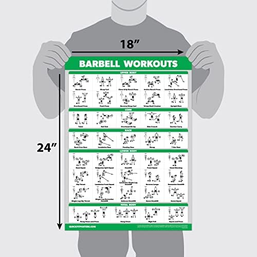 QuickFit Dumbbell Workout Poster Set | Laminated 3-Pack of 18" x 24" Exercise Charts