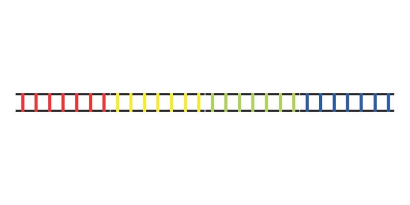 Champion Sports Sectioned Agility Ladder Set, Red/Yellow/Blue/Green, 6.5" x 16" Wide