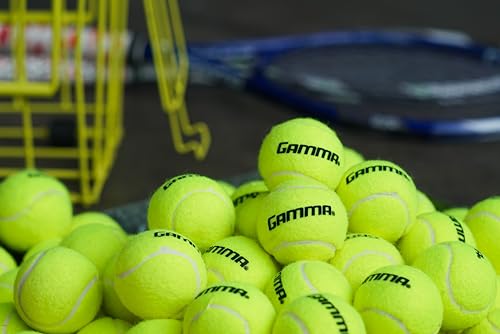 GAMMA Box-O-Balls 18 - Box of 18 Pressureless Tennis Balls -