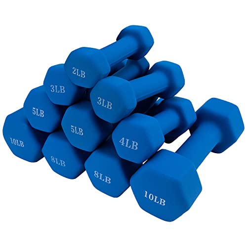 Saorzon Dumbbells Set of 2 Exercise Fitness Dumbbell for Home Gym Free Weights Hand Hex Dumb Bells Royal Blue 2LB