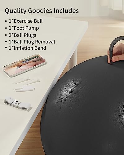 YOTTOY Anti-Burst Exercise Ball for Working Out, Yoga Ball for Pregnancy,Extra Thick Workout Ball for Physical Therapy,Stability Ball for Ball Chair Fitness with Pump (Black)