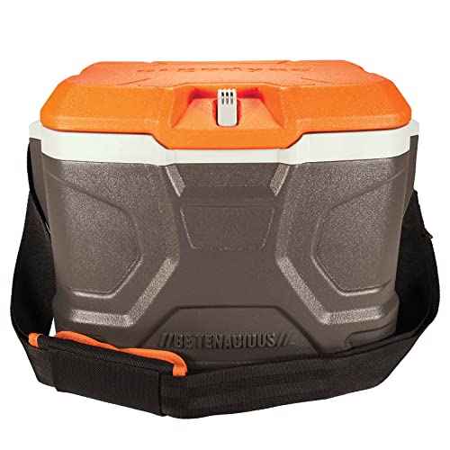 Ergodyne Chill Its 5170 Hard Sided Cooler, Insulated Lunch Box, 17-Quart
