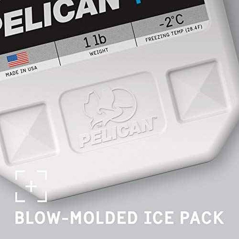 Pelican Ice