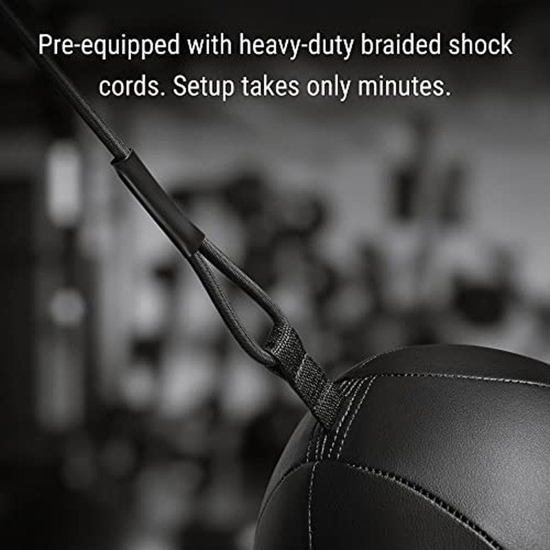 Hayabusa Double Ended Bag Classic Sphere - Black, 12 Inches
