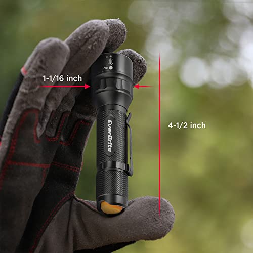 EverBrite 2-Pack 150 Lumens Super Small Mini LED Flashlight, Zoomable Flashlight with Lanyard&Clip, 3 Modes, IPX4 Waterproof, for Camping Hiking, Emergency, EDC, Survival Use, 2 AA Batteries Included