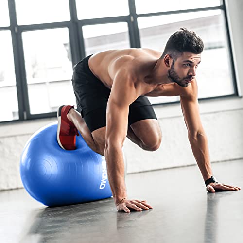 STOROMO Exercise Ball,Yoga Ball(Free Exercise Tutorial)，Extra Thick Non-Slip,Holds 2500 lbs, Workout Ball for Pregnancy Birthing and Balance Stability (Blue, 55cm/21.6in)