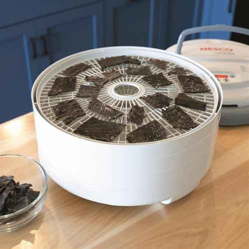 Nesco FD-79 Snackmaster Pro Digital Food Dehydrator for Snacks, Fruit, Beef Jerky, Meat, Vegetables & Herbs, Gray, 4 Trays, 1 Count (Pack of 1),Grey