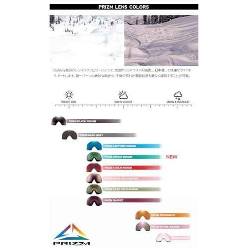 Oakley Flight Tracker L Snow Goggle