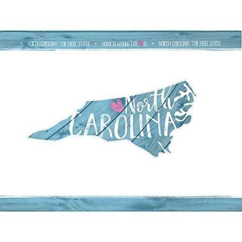 Tervis North Carolina State Outline Tumbler with Wrap and Frosted Lid 24oz, Clear
