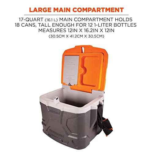 Ergodyne Chill Its 5170 Hard Sided Cooler, Insulated Lunch Box, 17-Quart