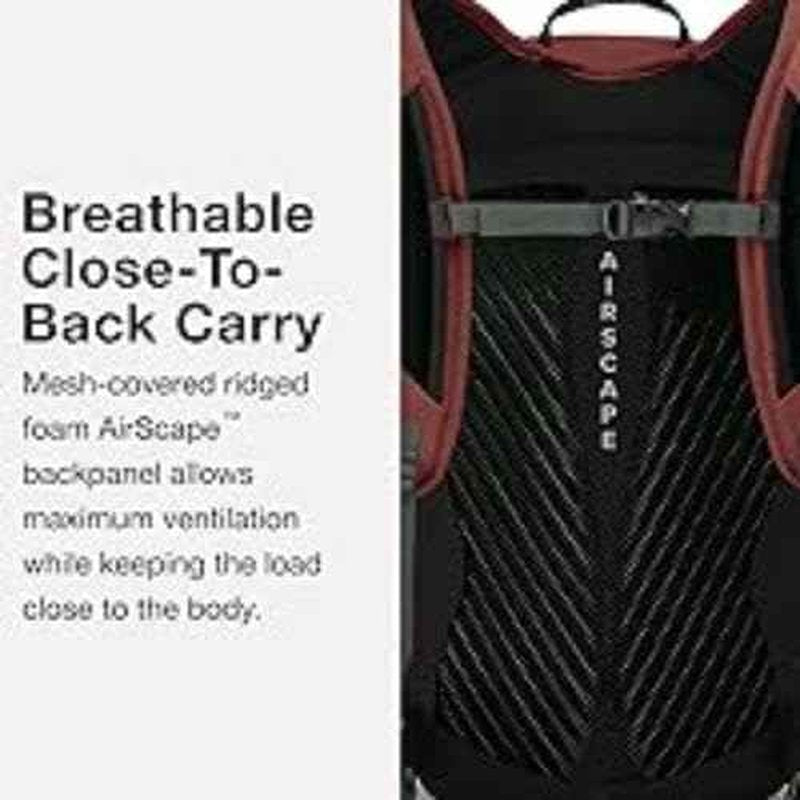 Osprey Sportlite 20L Unisex Hiking Backpack, Pine Leaf Green