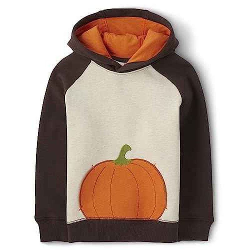 Gymboree Boys' and Toddler Long Sleeve Hoodie Sweatshirt