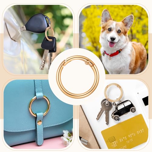 Zonon 20 Pcs 1 Inch Gold Spring O Rings, Key Ring Clip, Round O Clip for Keys, Buckle, Bags, Purses Replacement Purse Ring Hardware, Keychain Lanyard, Home Car Keyrings Attachment DIY Crafts