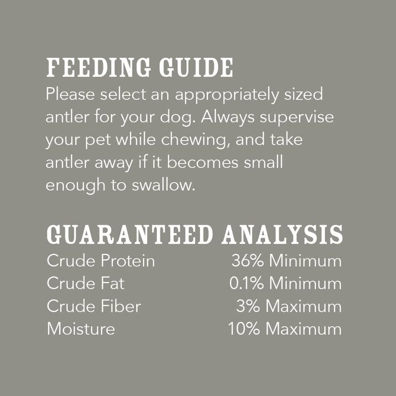 Wag Dog Deer Antler Chew - Naturally Shed, Long-Lasting Treat for Aggressive Chewers | Small Size (4-5.5 inches)