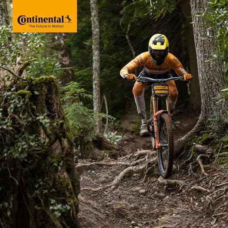 Continental MTB 27.5x1.75-2.5" / 47-584 -> 62-584 Inner Tubes - 42mm Presta Valve (Pack of 2 Tubes)