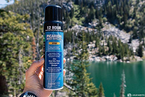 Sawyer Products SP576 20% Picaridin Insect Repellent, Continuous Spray, 6-Ounce