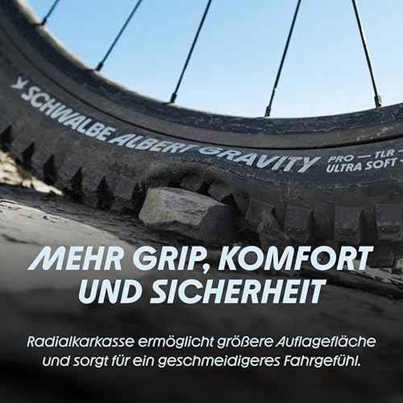 SCHWALBE Albert Tire - 29 x 2.50, Tubeless, Folding, Black, Evolution Line, Gravity Pro, Addix Soft, Radial, E-50
