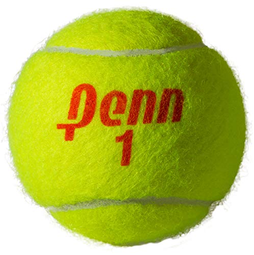 Penn Championship Tennis Balls - Regular Duty Felt Pressurized Tennis Balls - 2 Cans, 6 Balls