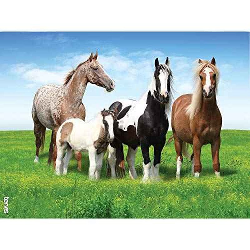 Tervis Horses Made in USA Double Walled Insulated Tumbler Travel Cup Keeps Drinks Cold & Hot, 24oz, Clear