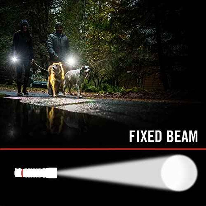 Coast ZX20B Dual Purpose Rechargeable Booster Pack, Power Bank and 200 Lumen LED Flashlight, Safety Signal for RL20R. RL20RB, RL22R, RL27R